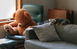 A cozy living room corner with soft cushions and a playful toy basket.