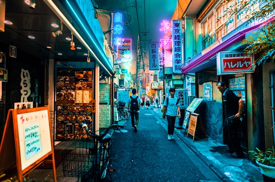 two person walking along the alley in Shinjuku Japan