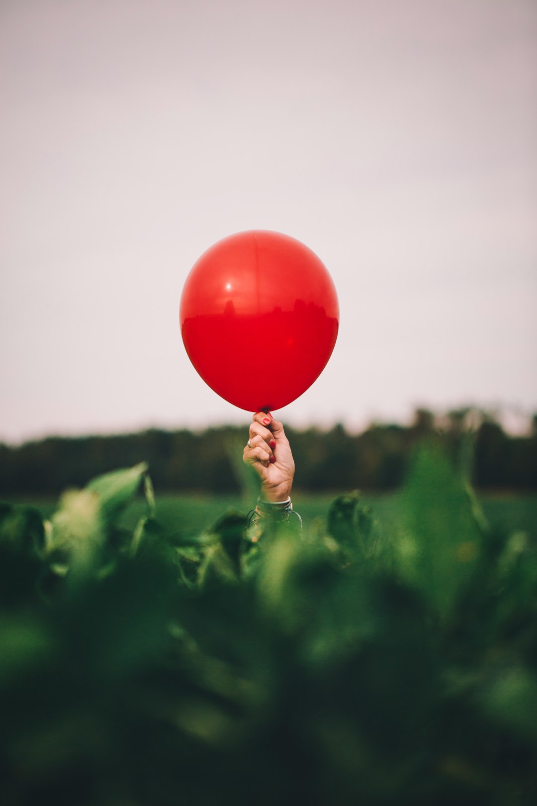 person holding red balloon