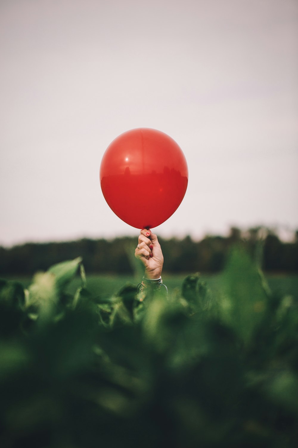 person holding red balloon