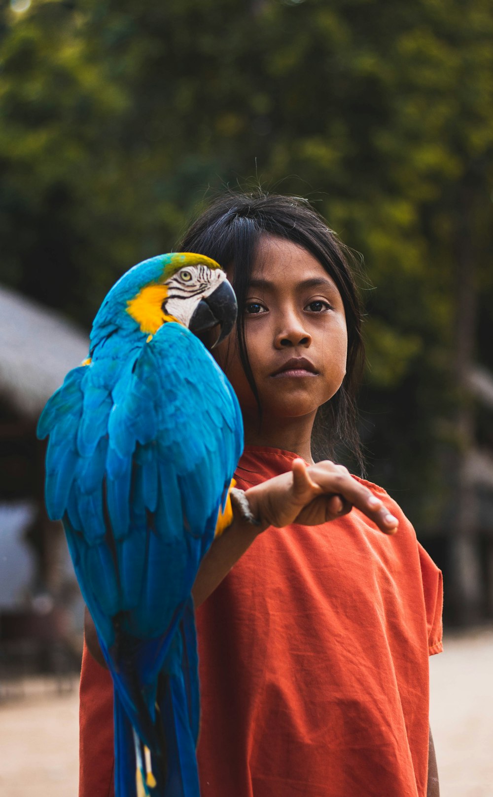 Fotografia de foco raso de papagaio e menina