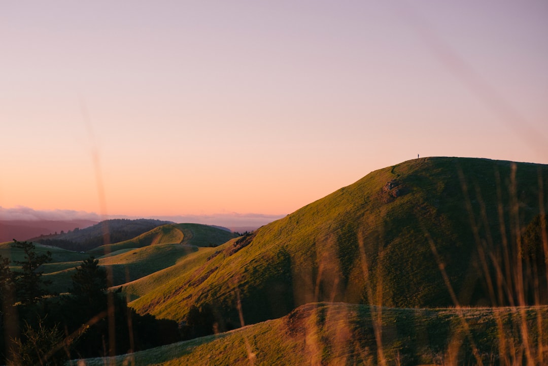 Hill photo spot Mount Tamalpais State Park San Francisco