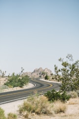 A winding road stretches through a desert landscape dotted with sparse vegetation and Joshua trees, leading towards rocky hills under a clear blue sky.