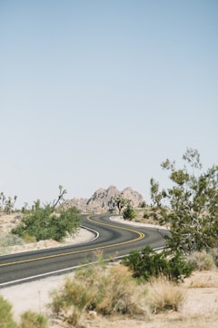 A winding road stretches through a desert landscape dotted with sparse vegetation and Joshua trees, leading towards rocky hills under a clear blue sky.