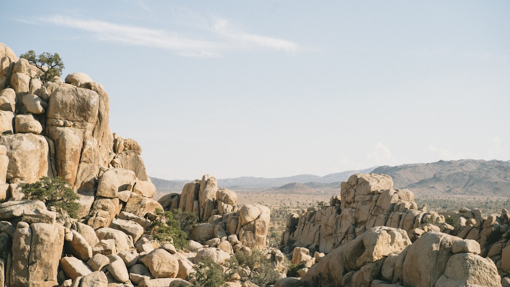 shallow focus photography of brown rock formation