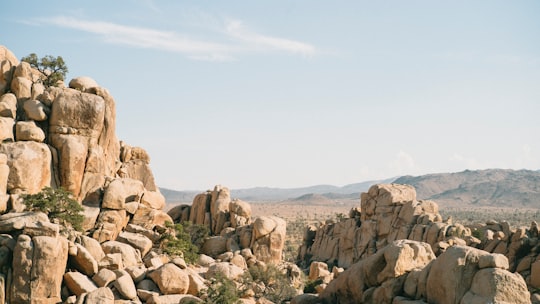 shallow focus photography of brown rock formation in Joshua Tree National Park United States