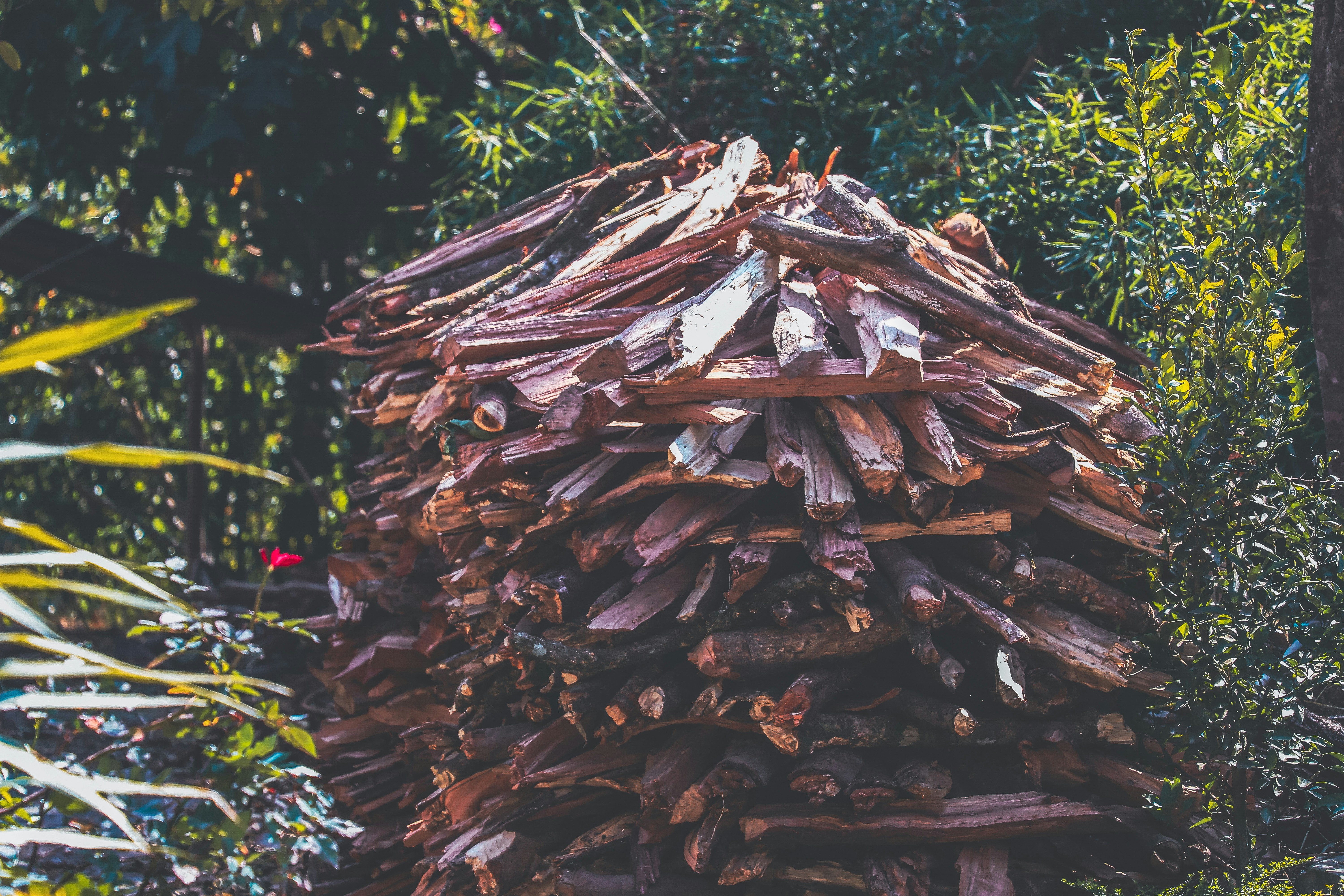 Premium Bulk Firewood