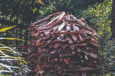 A large stack of cut firewood is neatly piled in an outdoor setting surrounded by dense green foliage, with sunlight casting shadows across the logs and leaves.