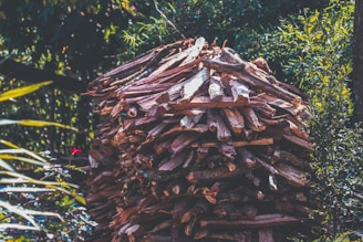 A large stack of cut firewood is neatly piled in an outdoor setting surrounded by dense green foliage, with sunlight casting shadows across the logs and leaves.