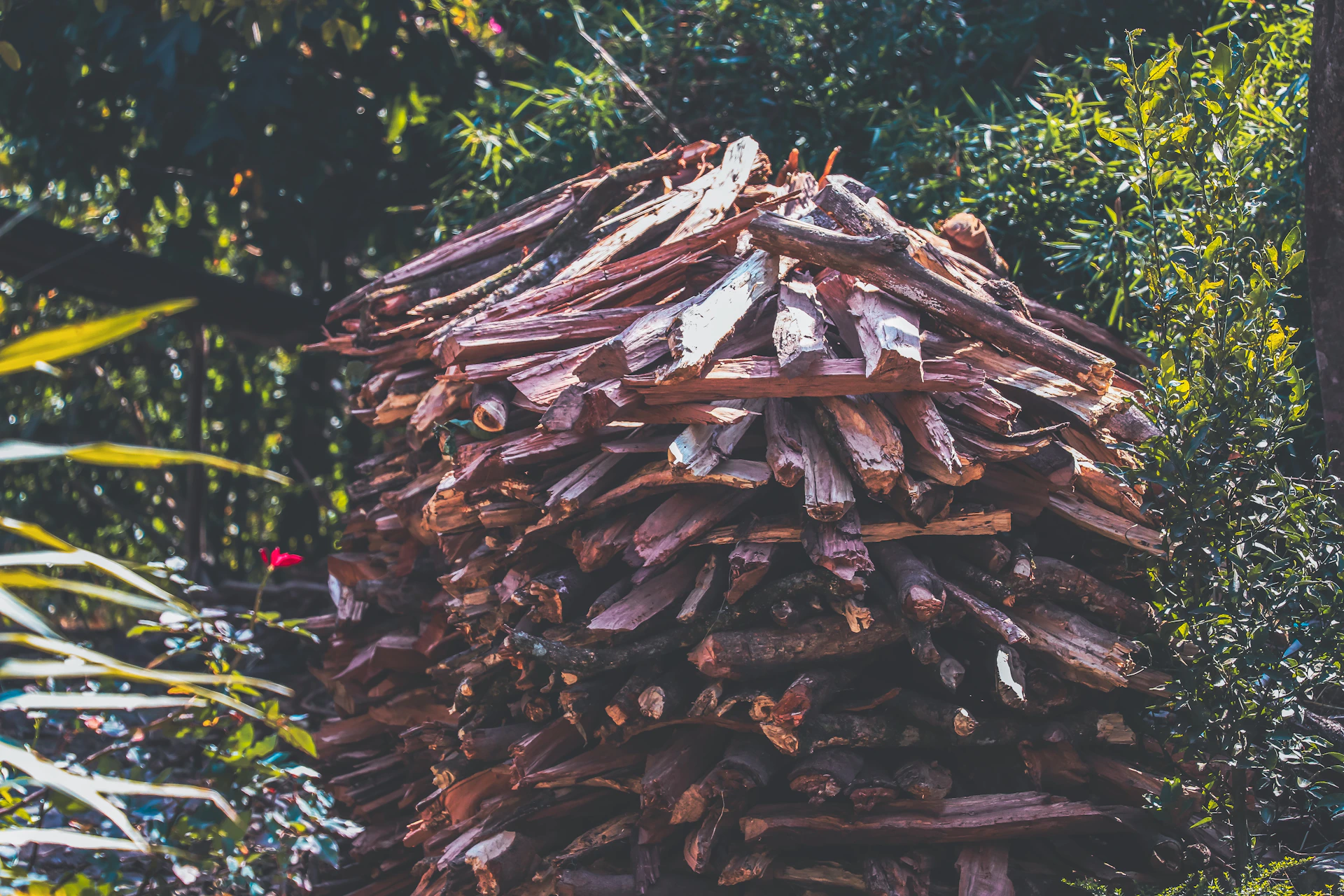 gray computer monitor