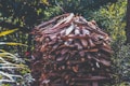 A large stack of cut firewood is neatly piled in an outdoor setting surrounded by dense green foliage, with sunlight casting shadows across the logs and leaves.