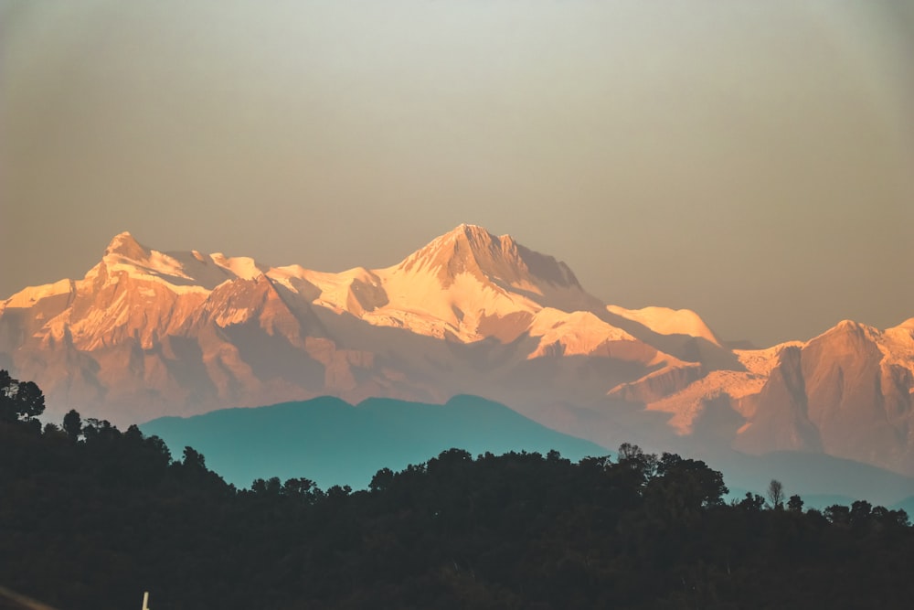 mountain alp and tree