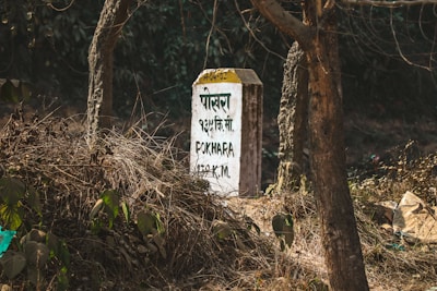 A weathered milestone is surrounded by dry grass and trees in a forested area. The milestone displays distance information in both a local language and in English, indicating kilometers to Pokhara.