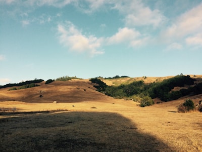 Rolling hills with dry, golden grass under a partly cloudy blue sky. Sparse trees and shrubs are interspersed across the landscape, creating a peaceful, vast vista.