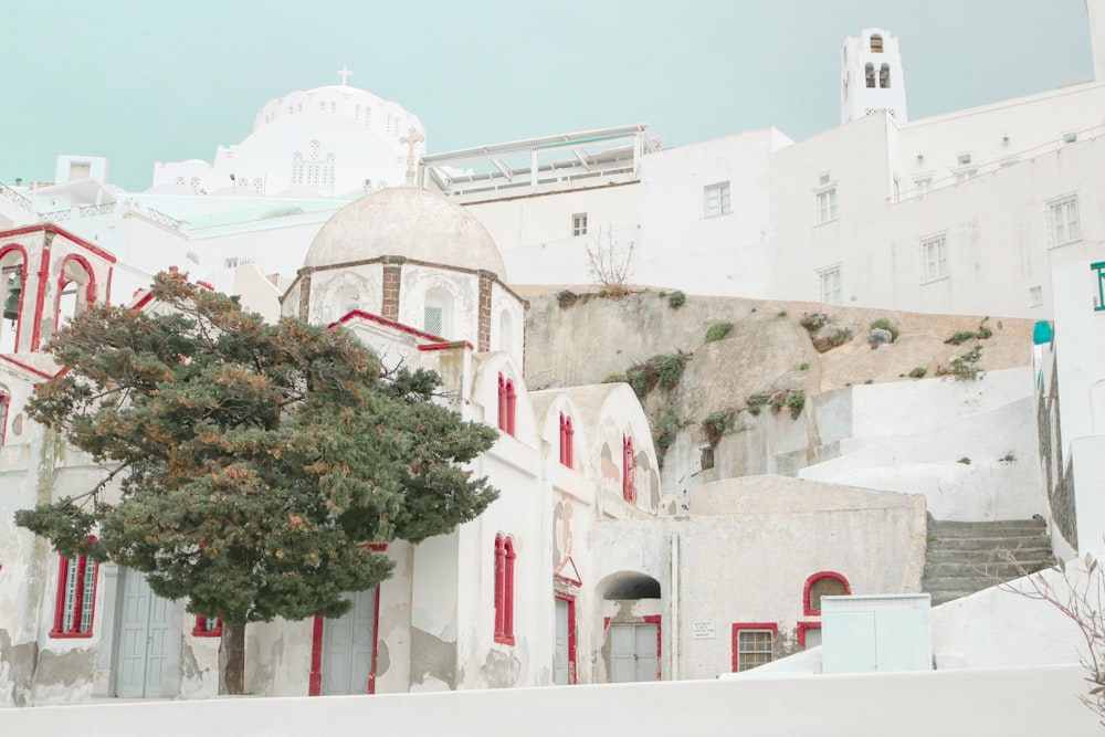 white concrete building near tree