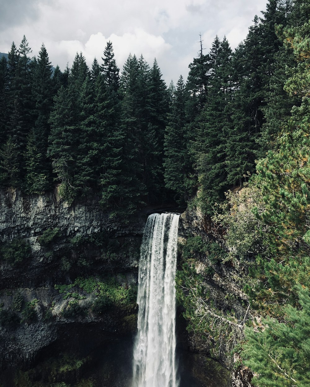 waterfalls beside trees