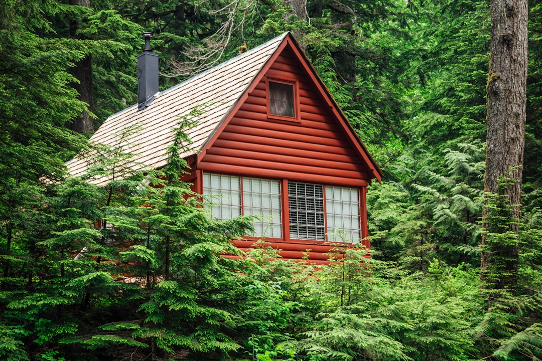 cabin surrounded by trees,
