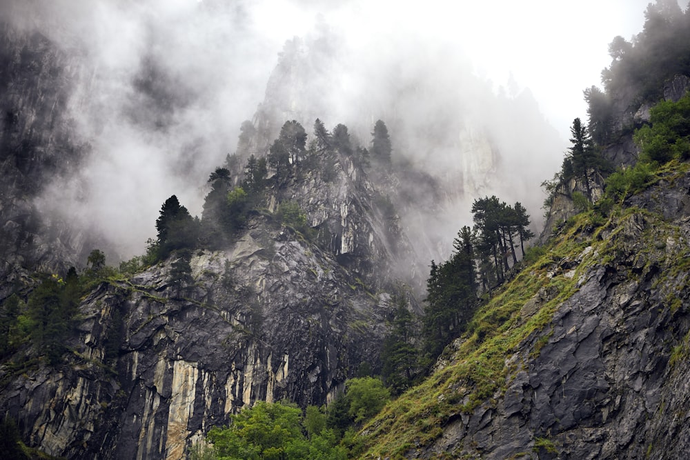 worms eye view of mountain