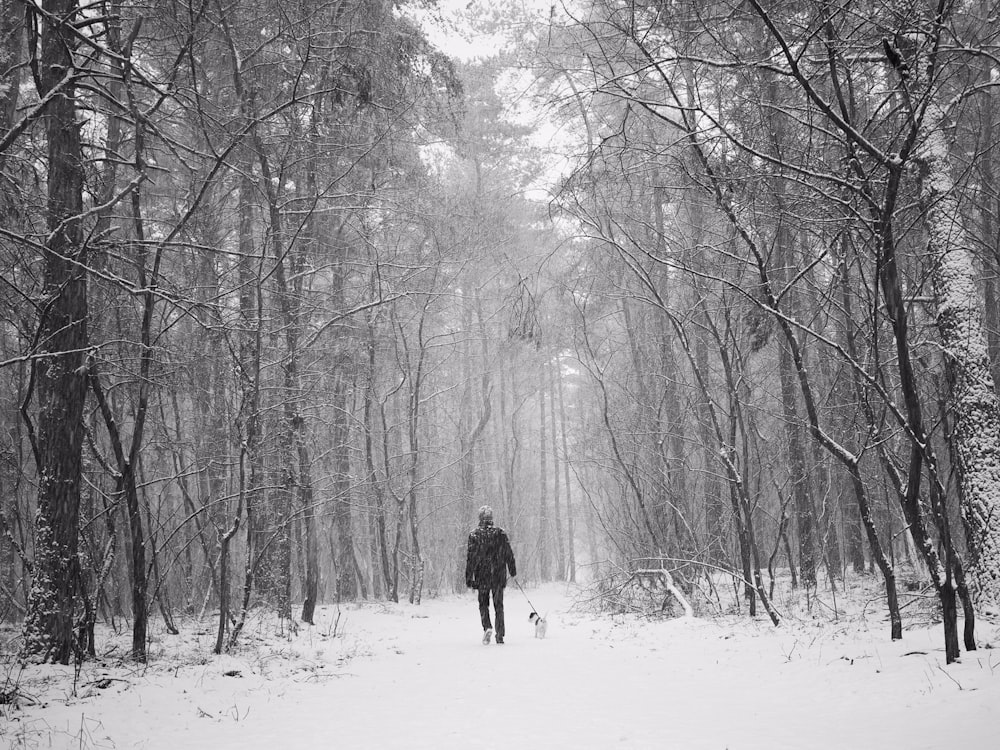 uomo che cammina nel mezzo della foresta ghiacciata