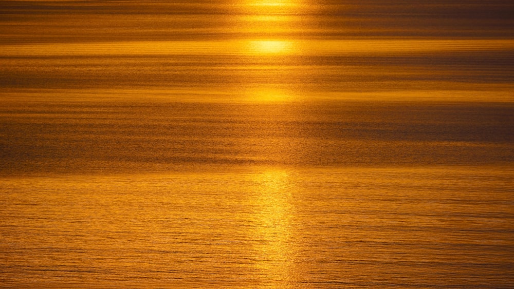 aerial photo of large body of water during golden hour
