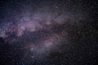 low angle photography of starry night sky