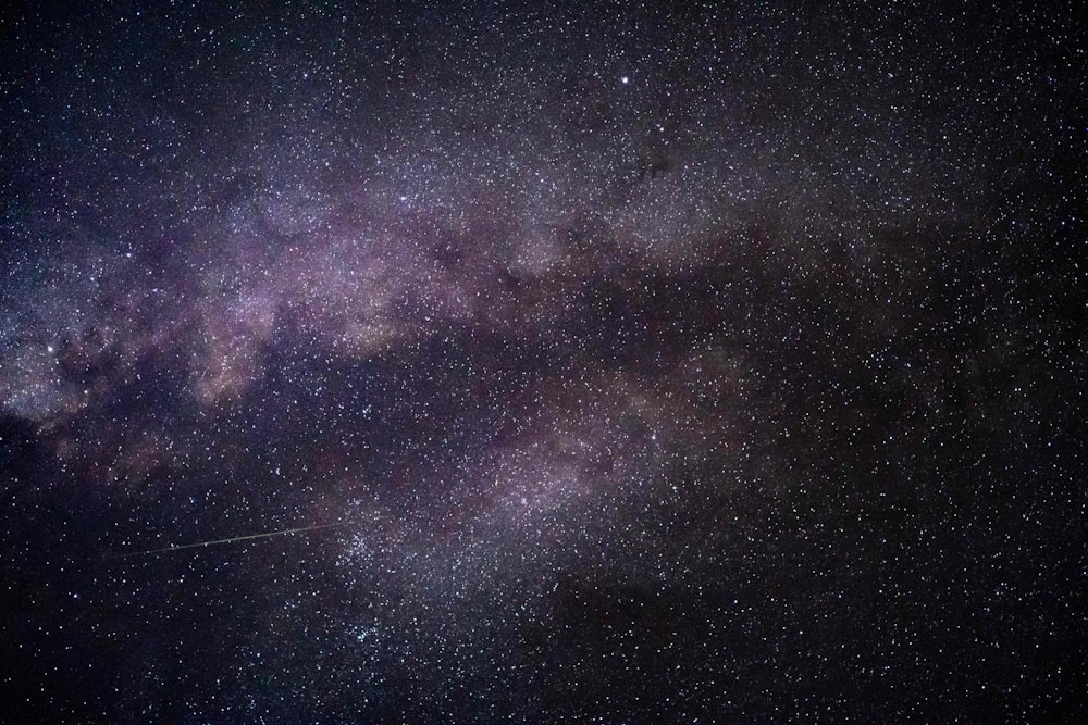별이 빛나는 밤하늘의 로우 앵글 사진
