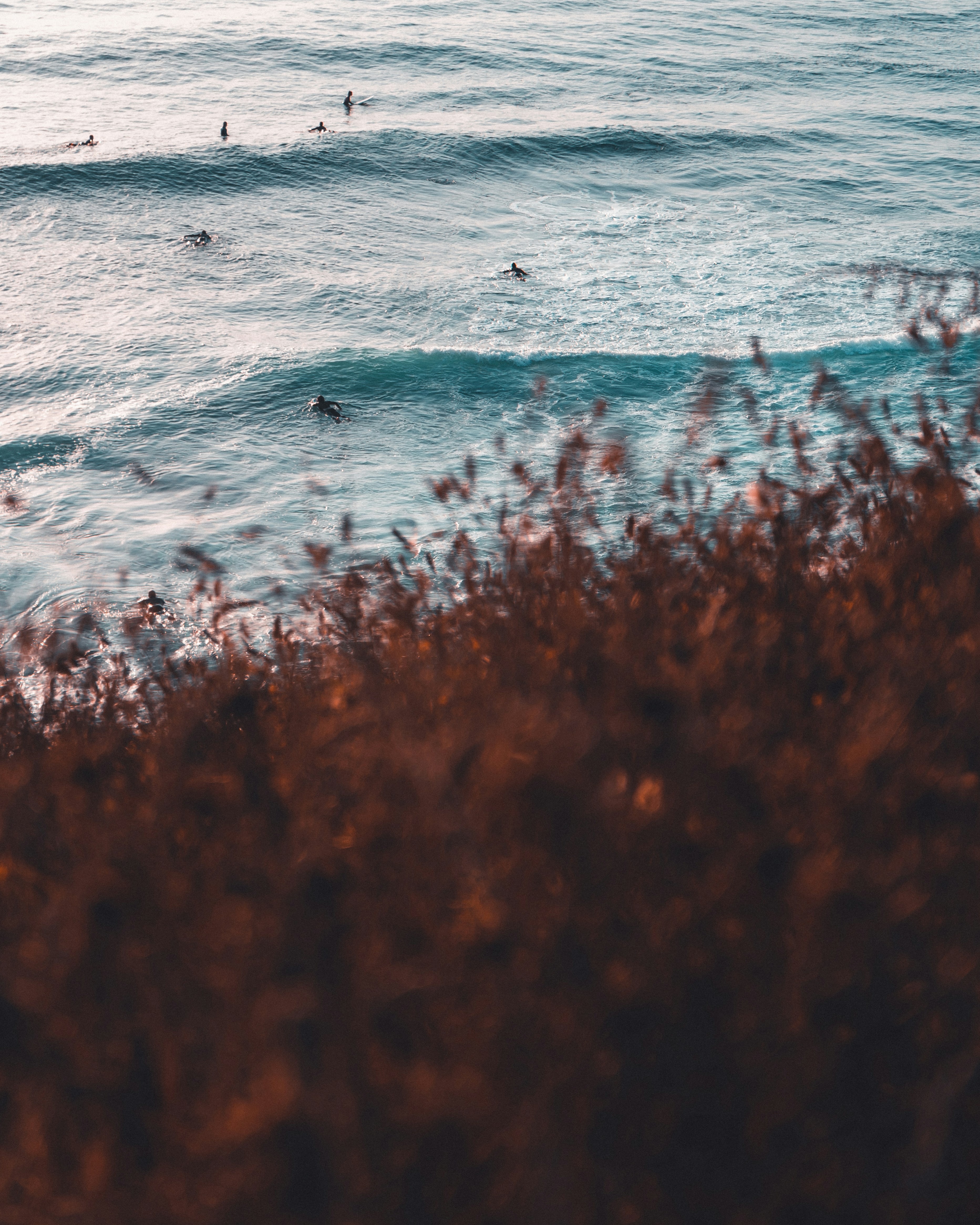 Photo by lepikdaniel