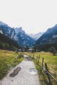 green grass field near at mountains