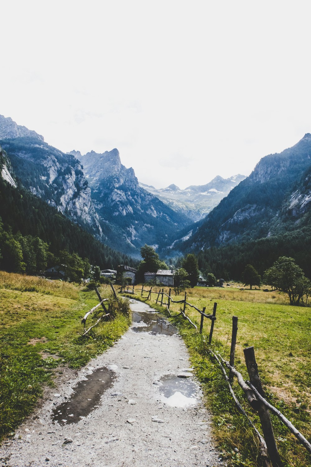 green grass field near at mountains