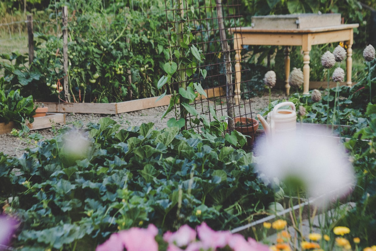 Hands tending plants in a border garden