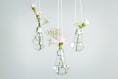 three pink petaled flowers in clear glass bulb vases