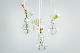 three pink petaled flowers in clear glass bulb vases