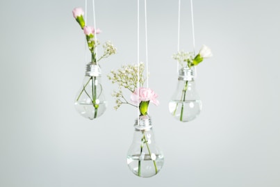 three pink petaled flowers in clear glass bulb vases