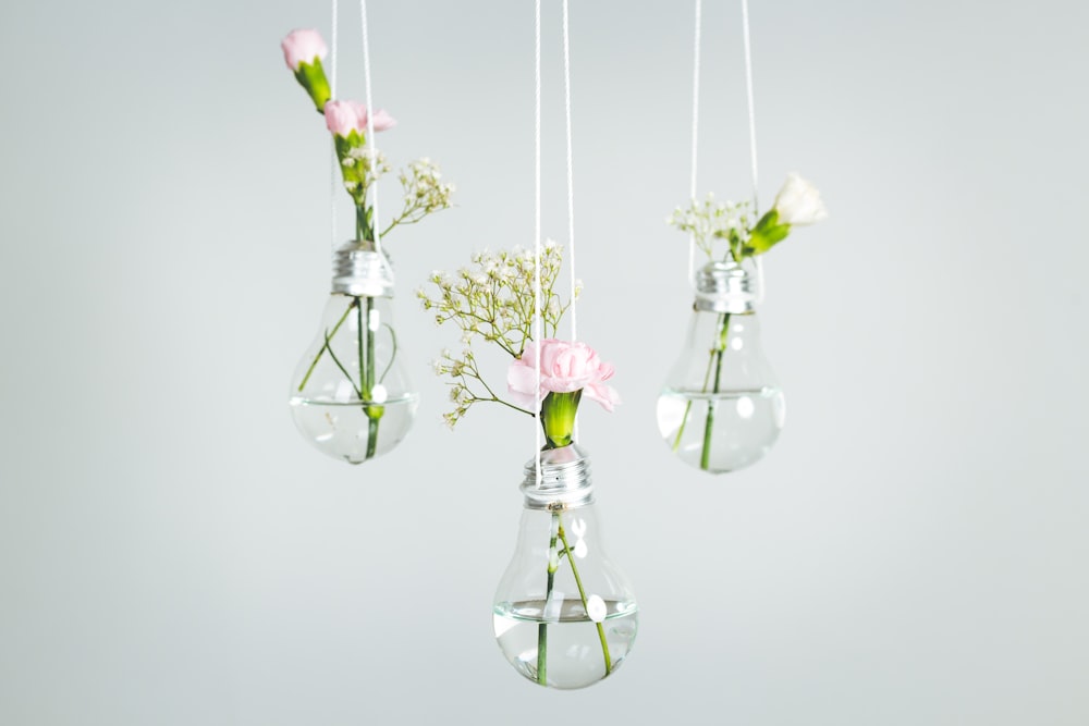 trois fleurs à pétales roses dans des vases à ampoules en verre transparent