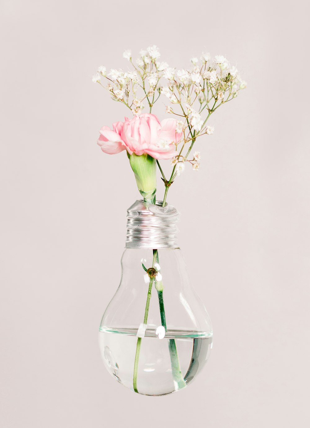 fleurs à pétales blancs et roses dans un vase ampoule LED en verre transparent