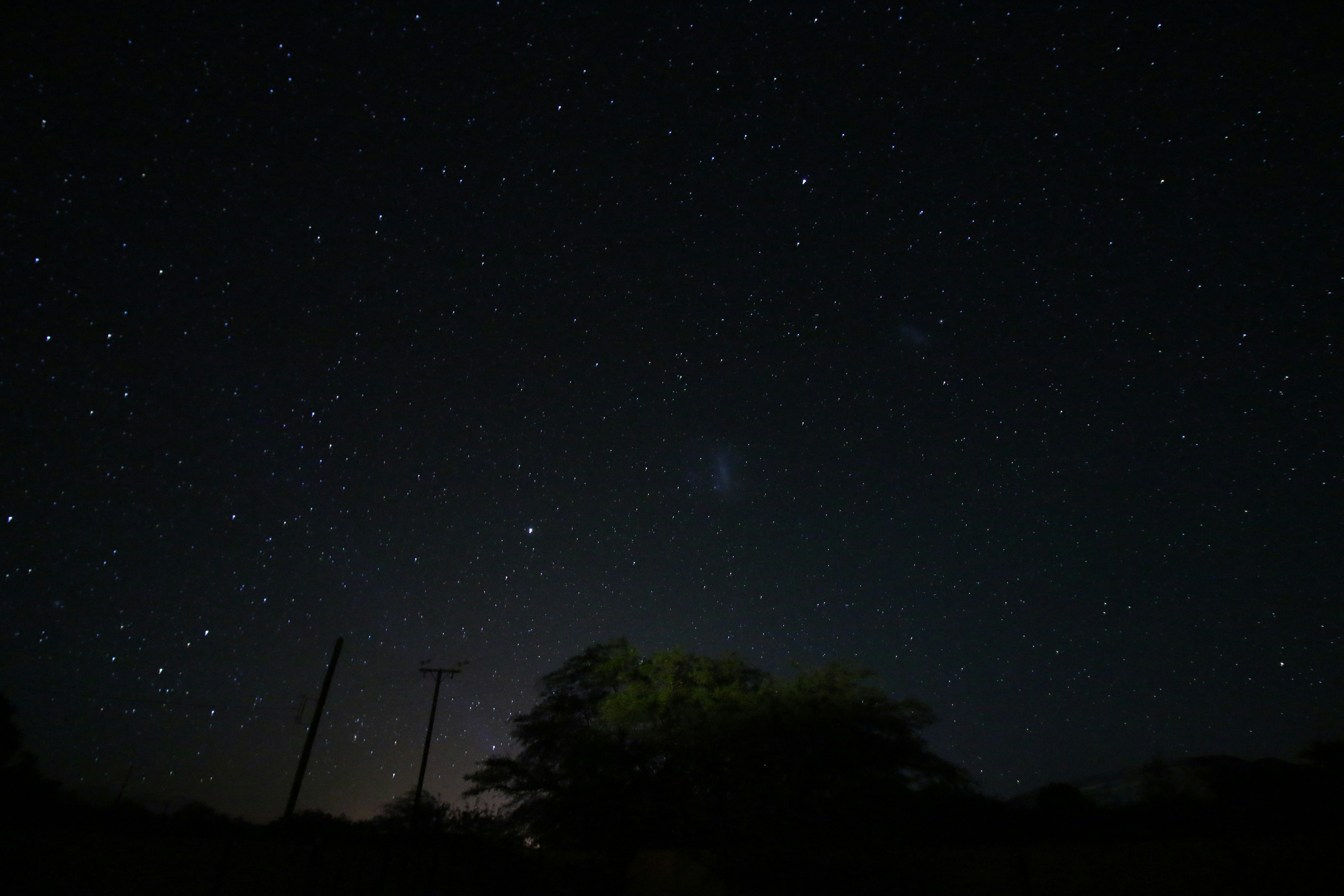 Photo by marcusdallcol