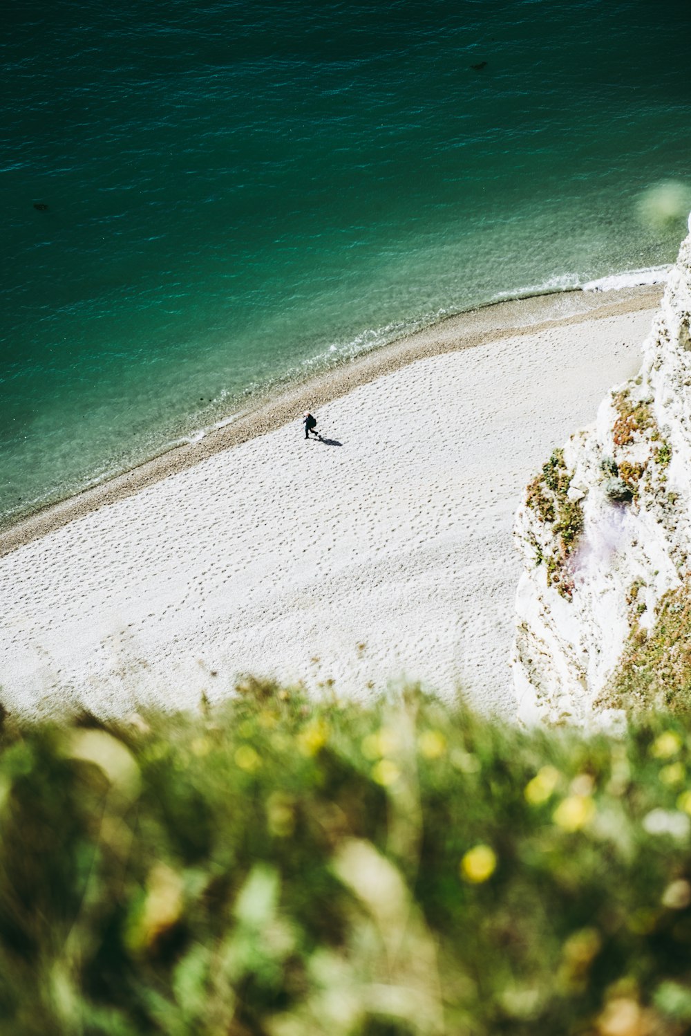 aerial photography of a human on seashore