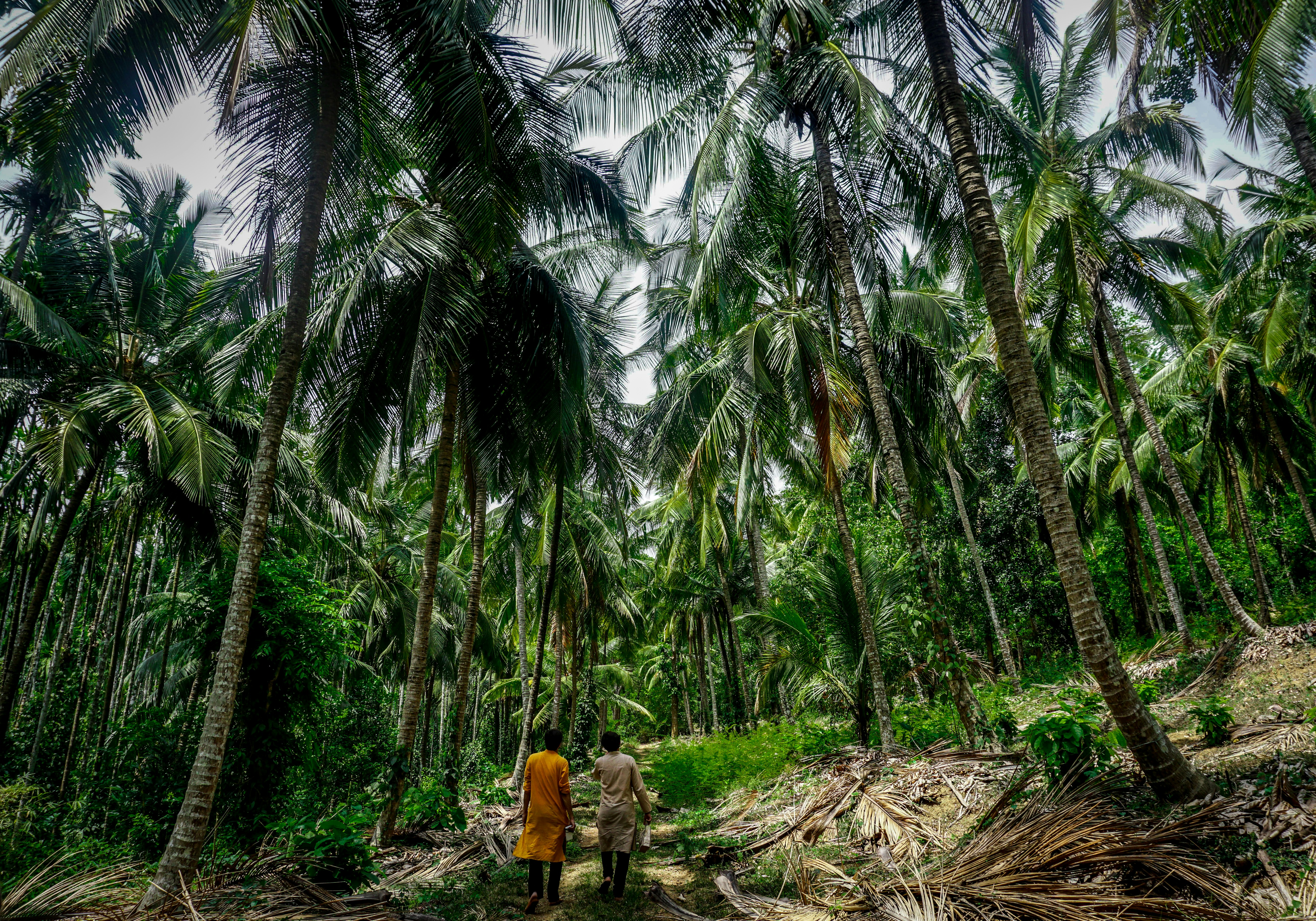 Photo by madhushreebn