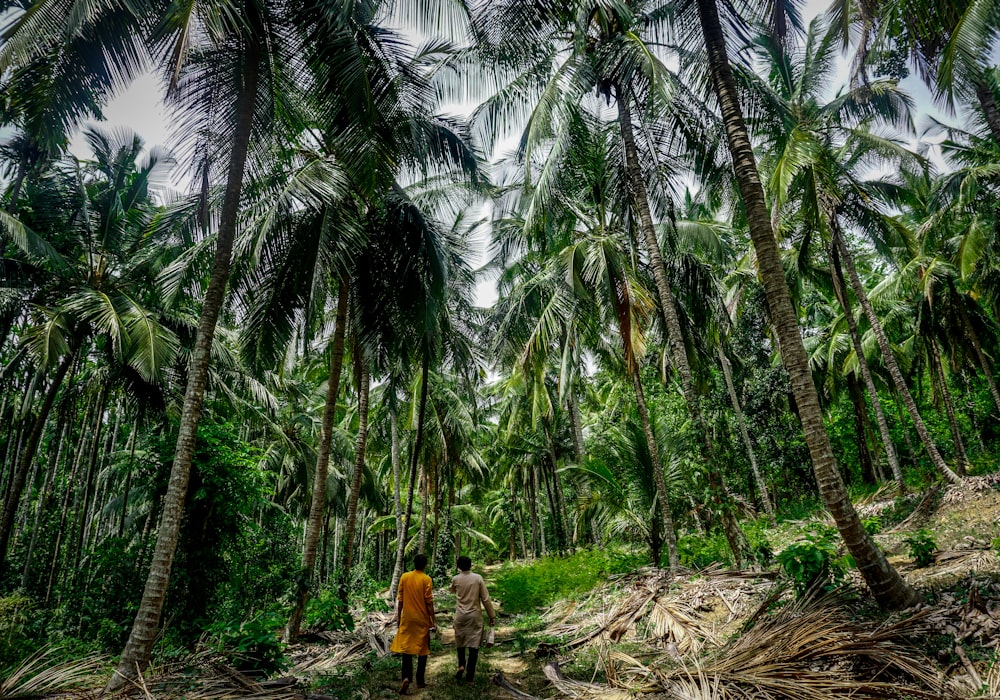 two person standing infront of coconut tree