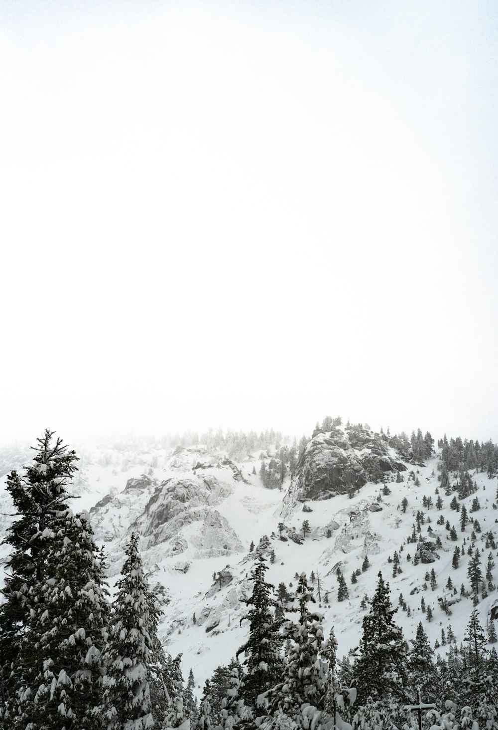 foto di silhouette di pini vicino alle Alpi di montagna