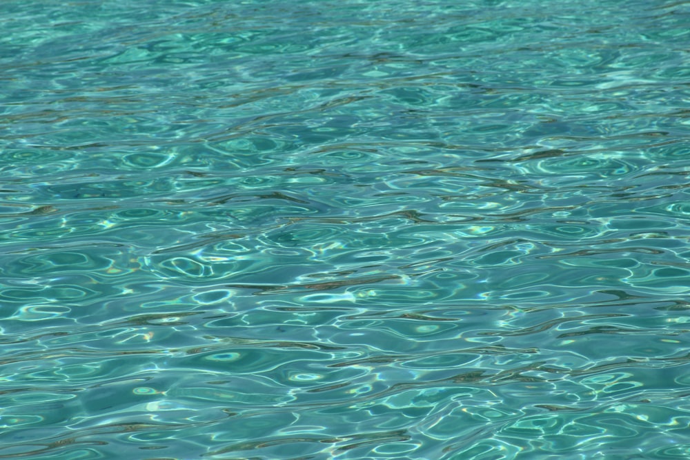 rippling body of water