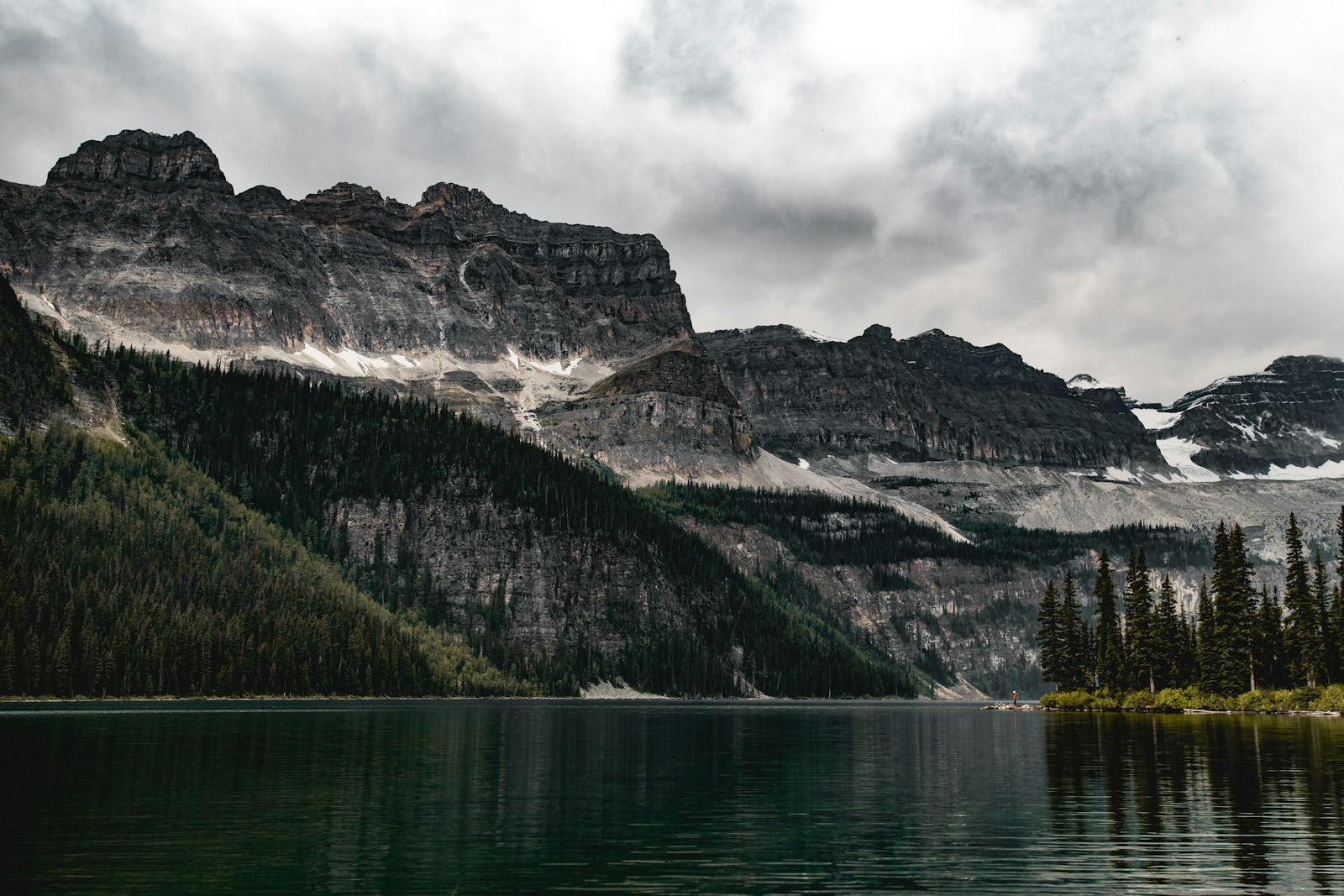 Sony a7R II + Sigma 24-35mm F2 DG HSM Art sample photo. Lake near forest and photography