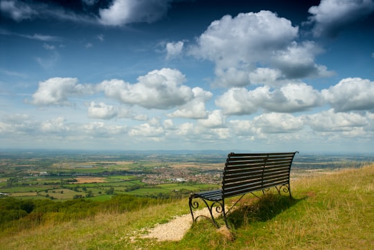 black bench on hill full of grasses in Cleeve Hill United Kingdom