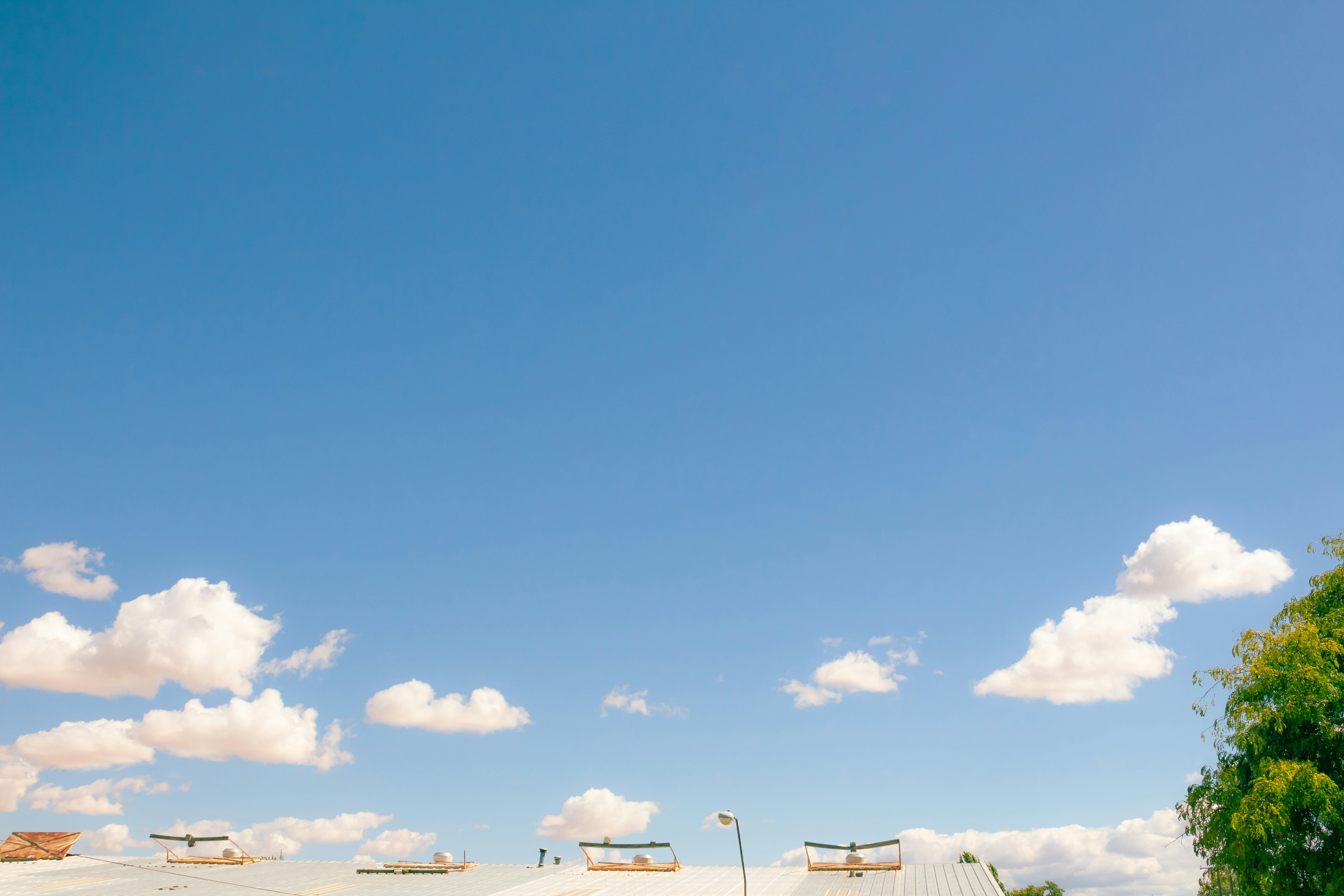 Photo by dallasreedy