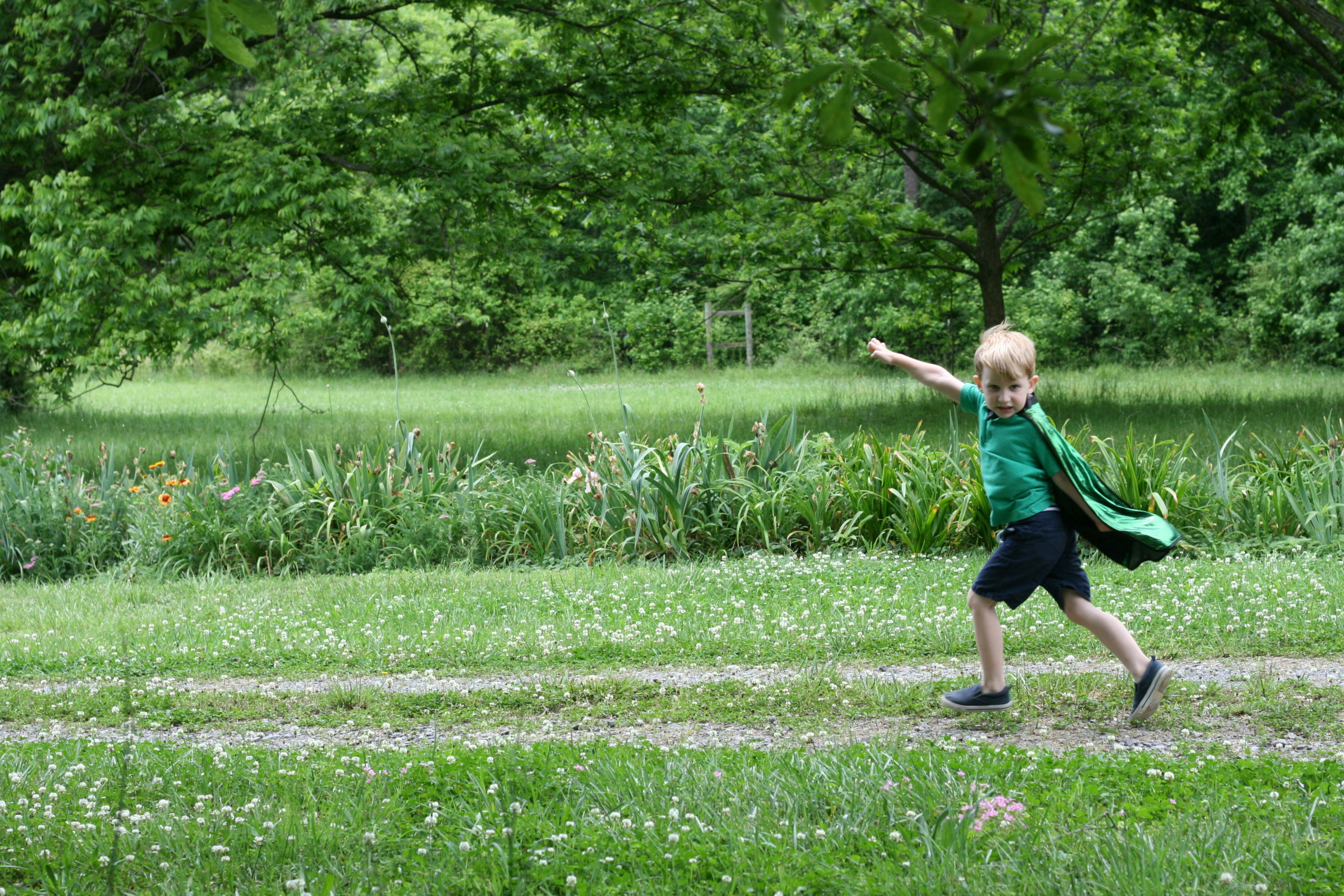 Energia para crescer