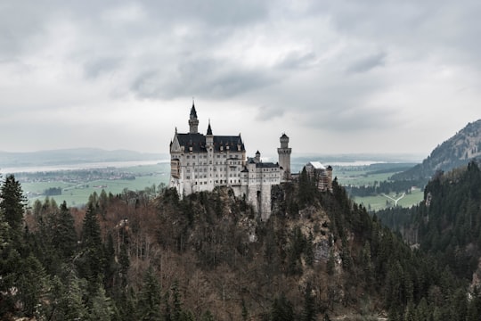 grey concrete castle in Neuschwanstein Castle Germany