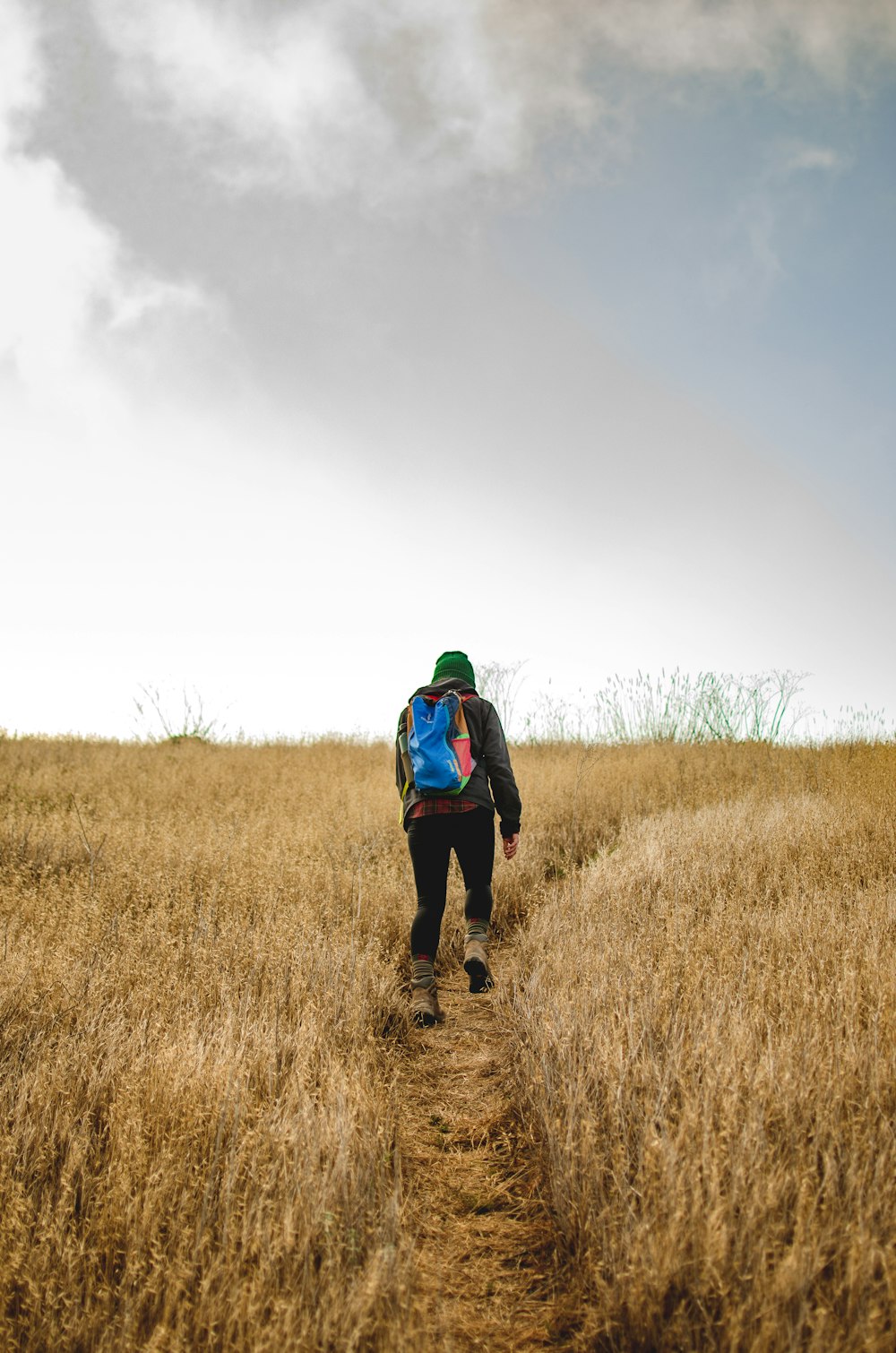 person walking on brown grass field