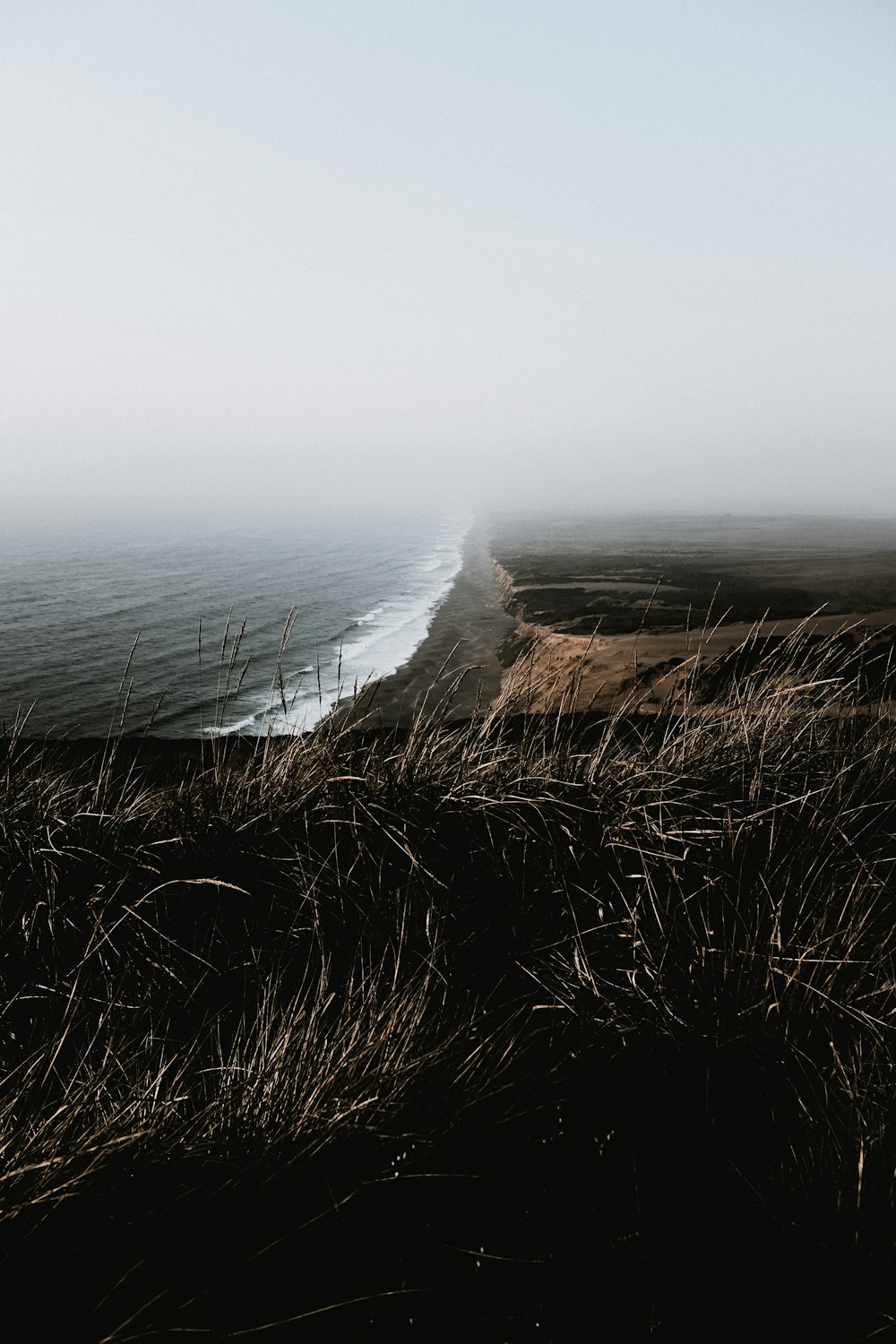 fogs over cliff