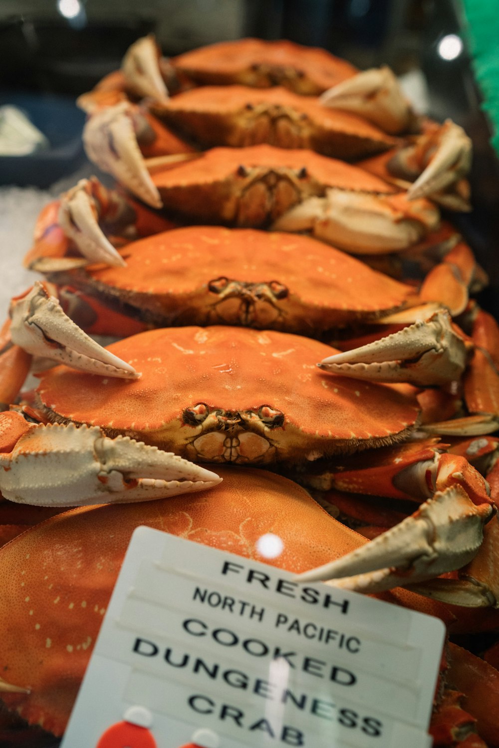 displayed fresh crabs