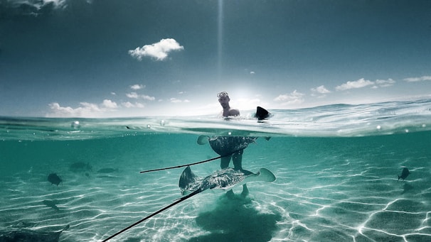 A person wearing snorkeling gear is partially submerged in clear turquoise water. The water's surface divides the image into underwater and above-water scenes. Several stingrays swim gracefully around the person in the shallow sea, with a sunlit sky and a few clouds visible above the horizon.
